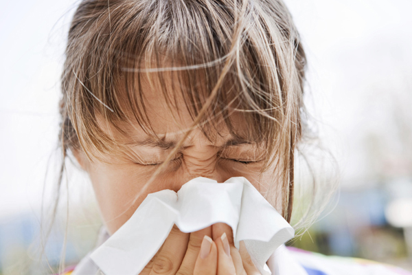 Аллергия поллиноз у детей